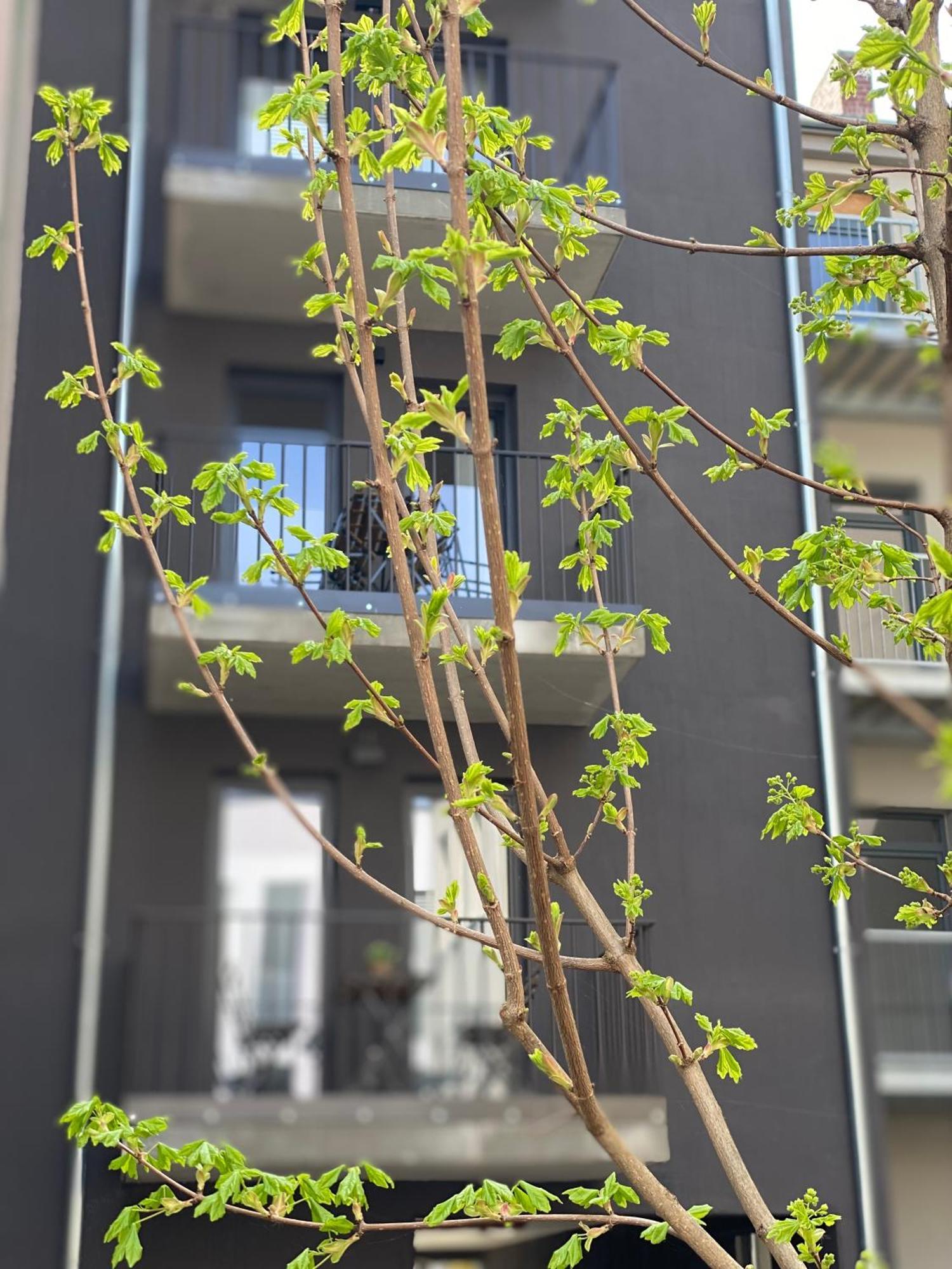 Eiwelhome - Stilvoll, Urban-Ruhig Schlafen, Bahnhofsnah, Balkon Erfurt Bagian luar foto