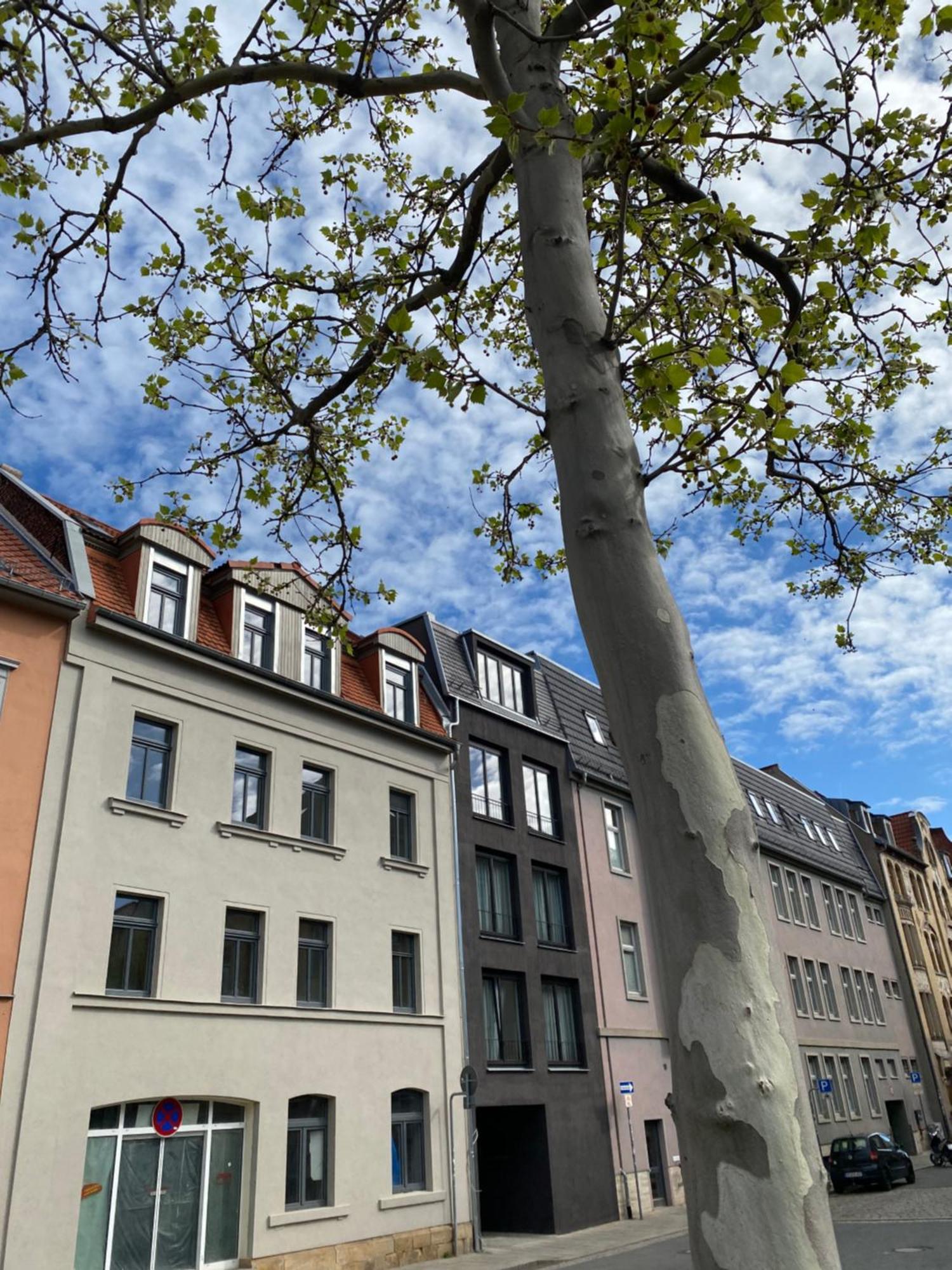 Eiwelhome - Stilvoll, Urban-Ruhig Schlafen, Bahnhofsnah, Balkon Erfurt Bagian luar foto